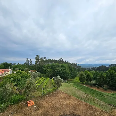 Tropical Dream Farm Vouzela